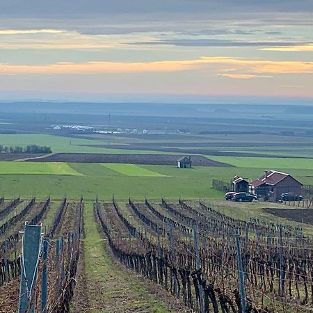 Kuca Za Odmor Kiss-Karanac,Baranja Vila Exterior foto