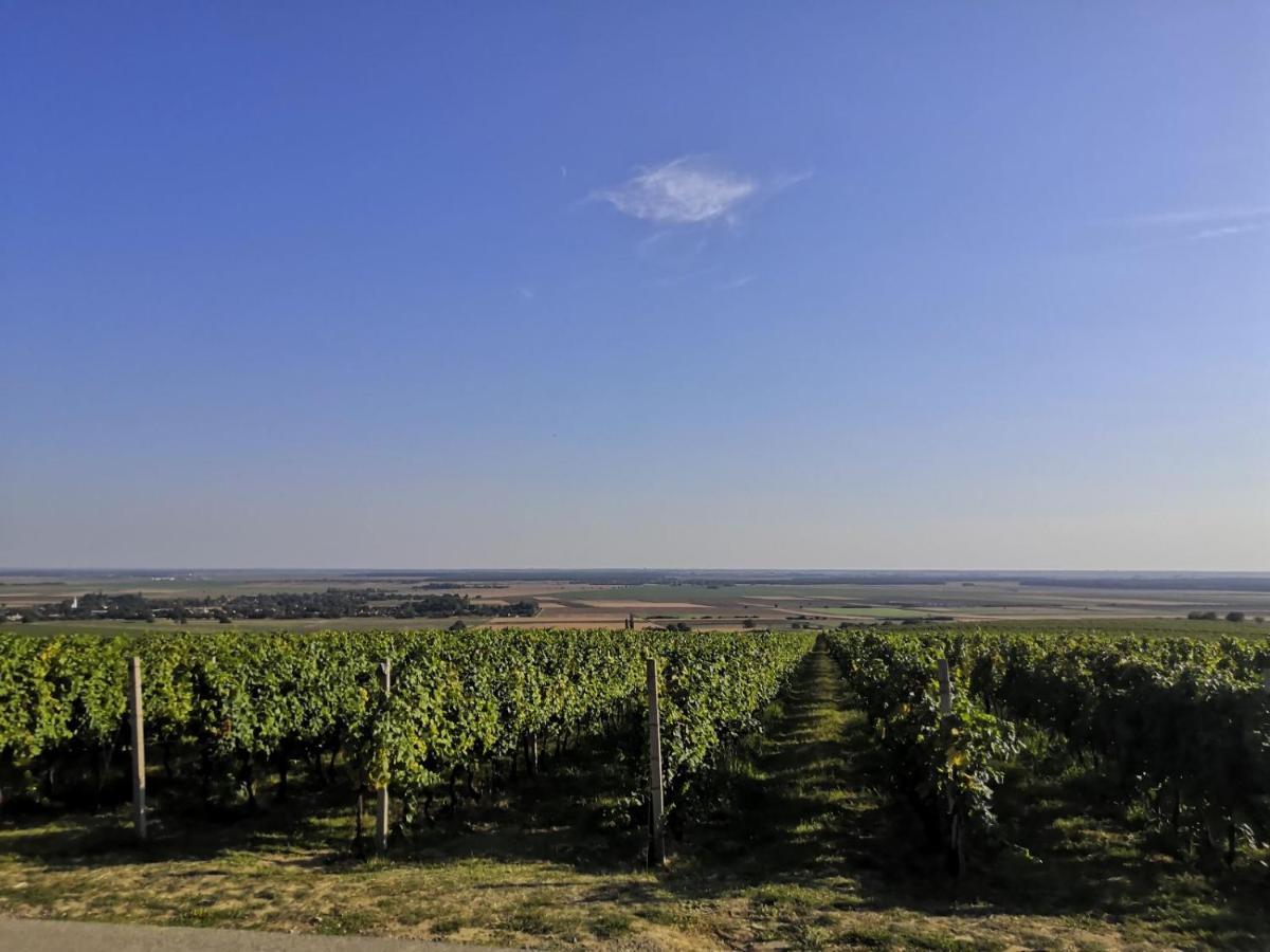 Kuca Za Odmor Kiss-Karanac,Baranja Vila Exterior foto