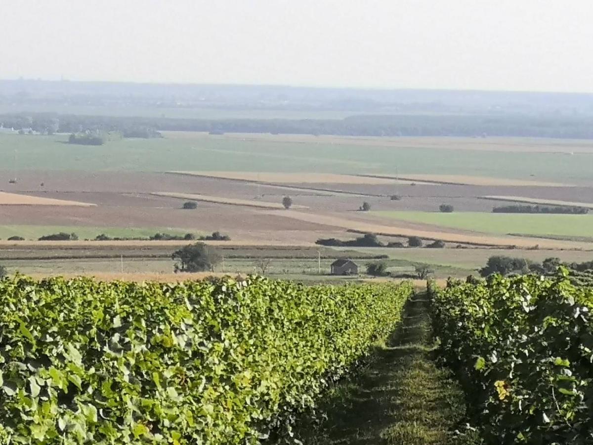 Kuca Za Odmor Kiss-Karanac,Baranja Vila Exterior foto