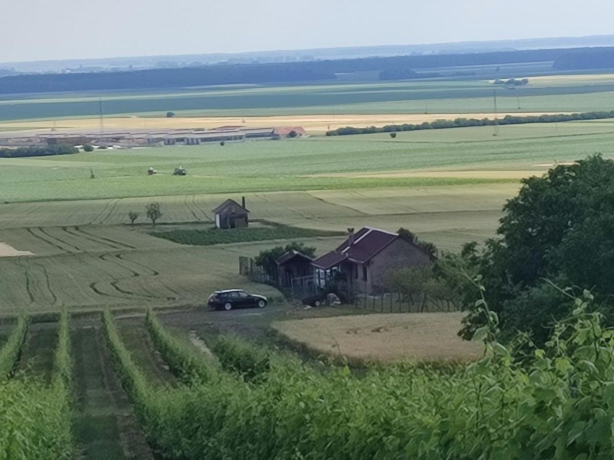 Kuca Za Odmor Kiss-Karanac,Baranja Vila Exterior foto