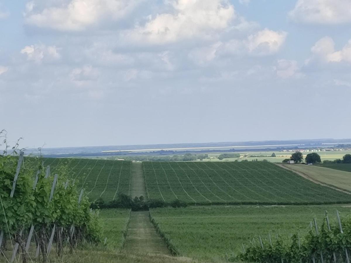 Kuca Za Odmor Kiss-Karanac,Baranja Vila Exterior foto
