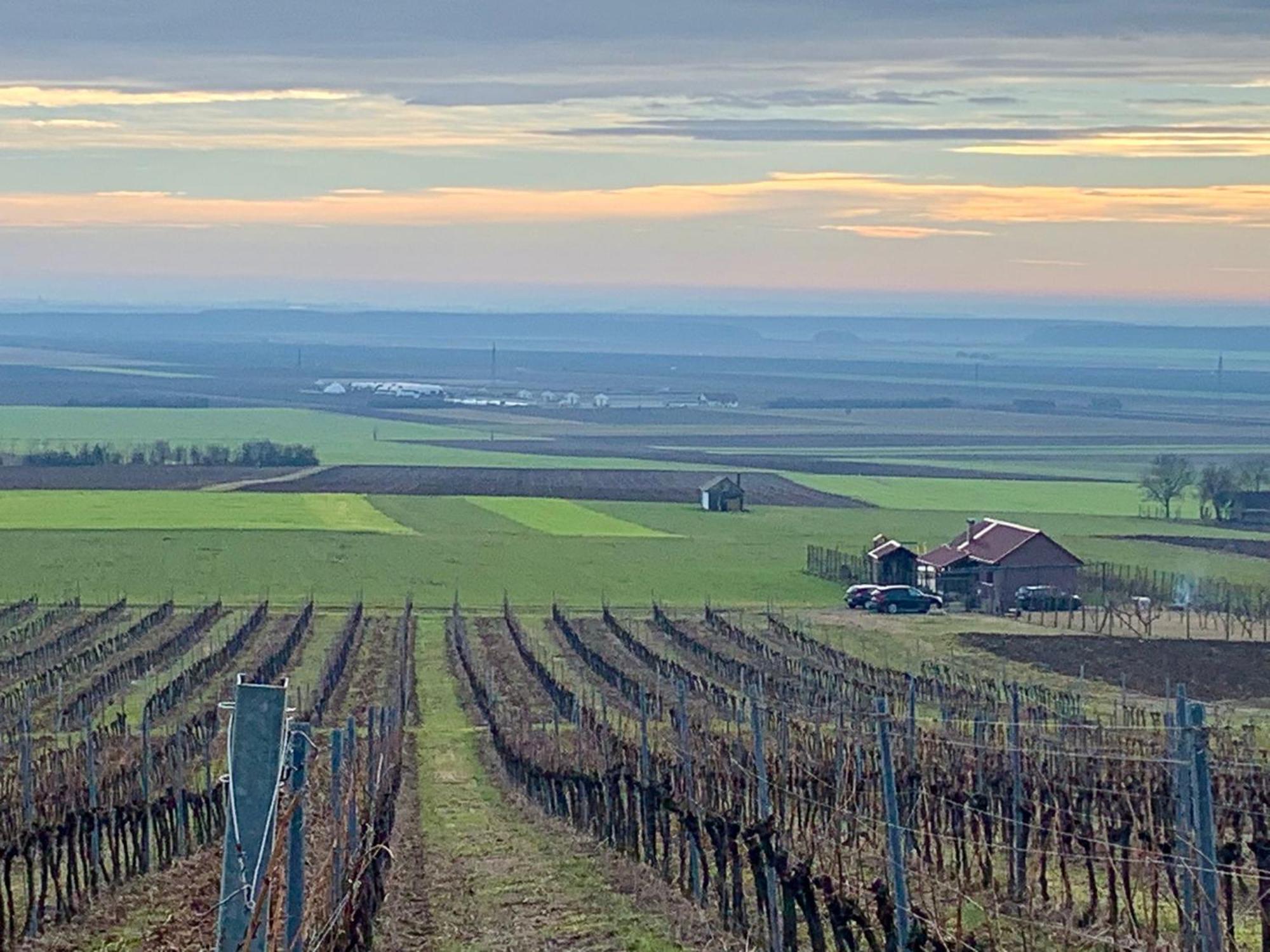 Kuca Za Odmor Kiss-Karanac,Baranja Vila Exterior foto